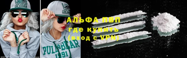 гашик Арсеньев