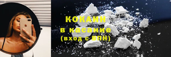 гашик Арсеньев