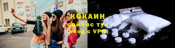 гашик Арсеньев