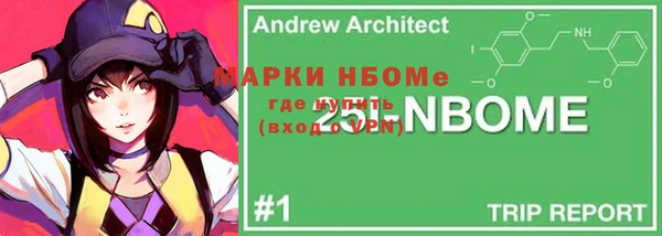 гашик Арсеньев