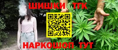 индика Тара