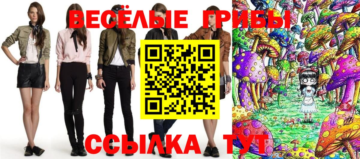 Реутов  Галлюциногенные грибы Psilocybine cubensis  закладка  Вход с VPN 