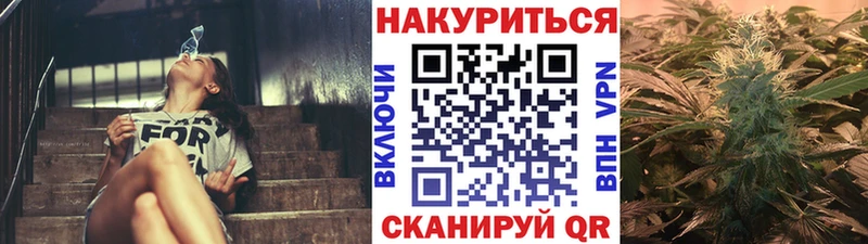 где купить наркотик  Реутов  mega рабочий сайт  МАРИХУАНА сатива 